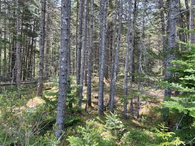 16 Woody Lane, Cushing, ME 04563 - #1