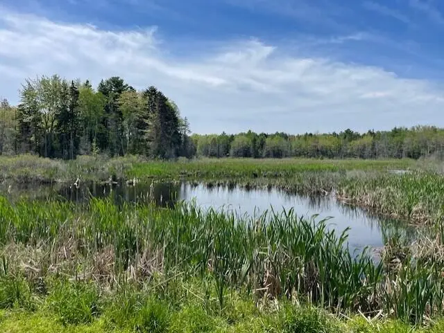 16 Woody Lane, Cushing, ME 04563 - #3