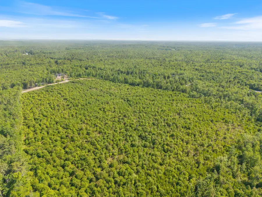 Map 004 Lot 064-5 & 064-6, Hollis, ME 04042 - #2