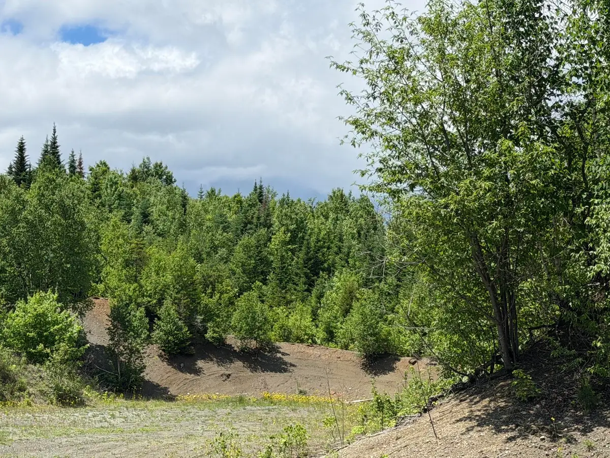 Lot 35 Mountain View Trail, Greenville, ME 04441 - #1