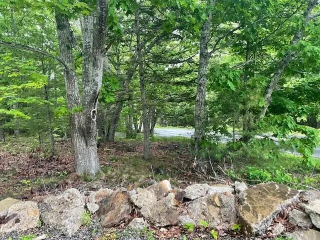 346 N Shore Drive, Owls Head, ME 04854 - #1