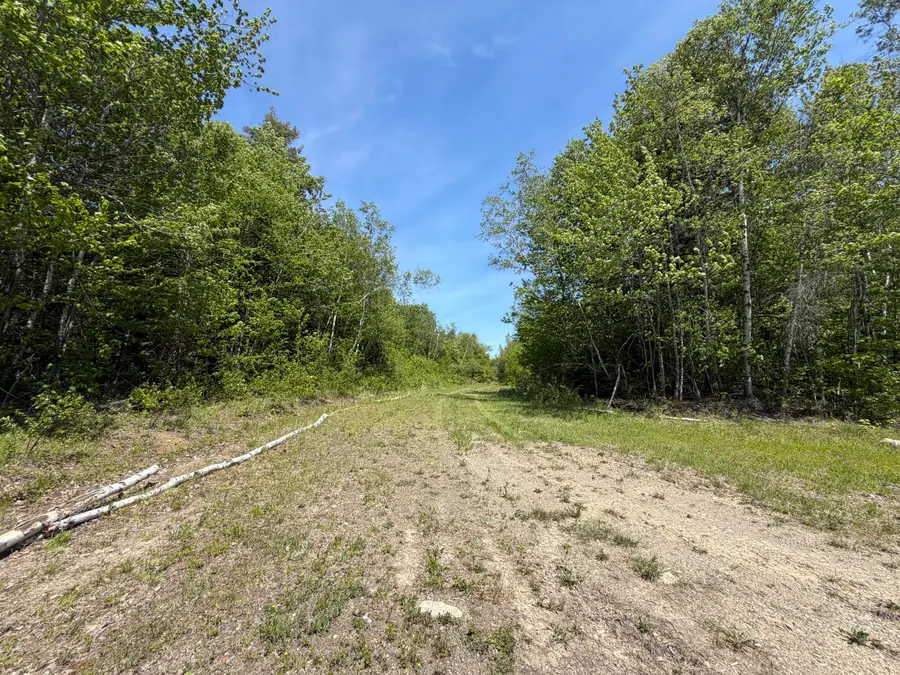 Lot 49 Independence Circle, Prentiss, ME 04487 - #2
