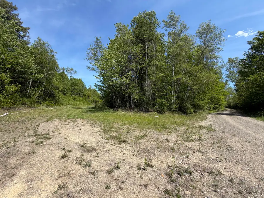 Lot 49 Independence Circle, Prentiss, ME 04487 - #3