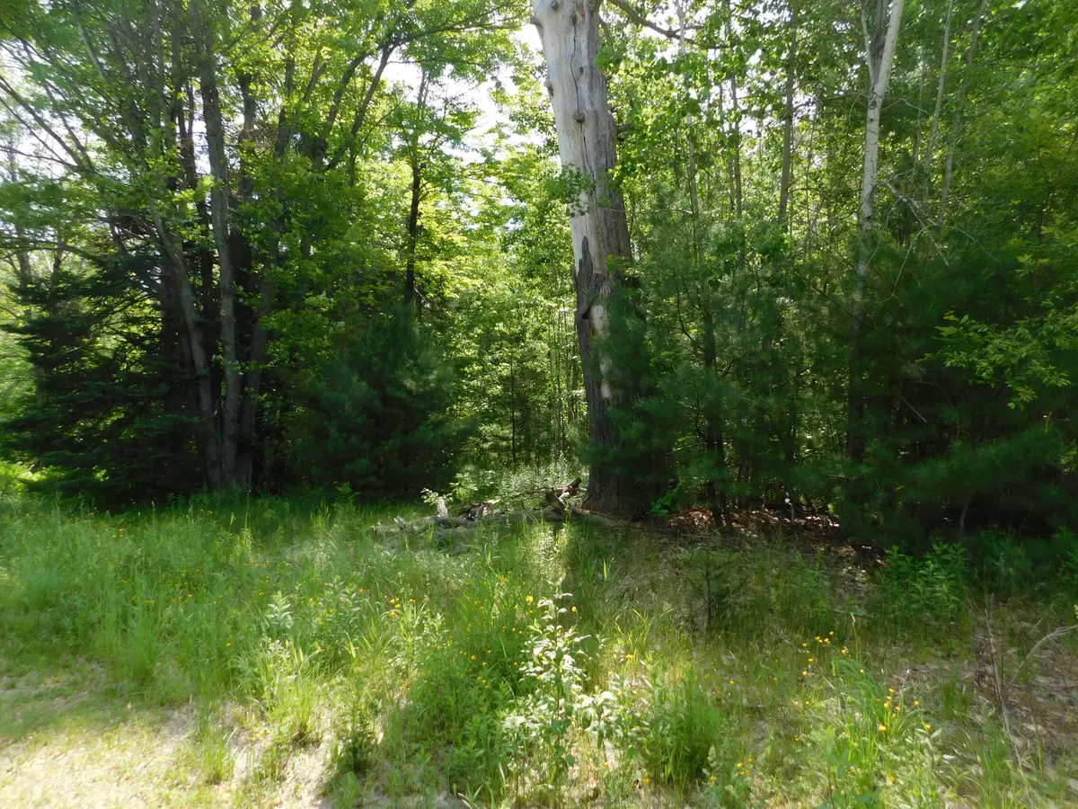 244 Canaan Road, Hartland, ME 04943 - #1