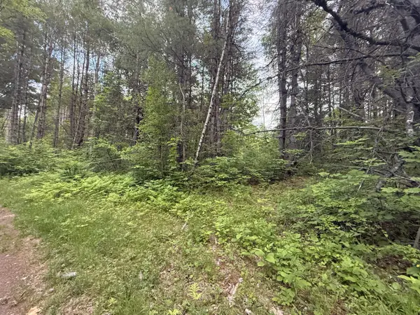 003-001-A Project Road, Enfield, ME 04493