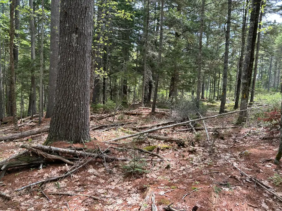103 Ledges Circle, Waldoboro, ME 04572 - #3