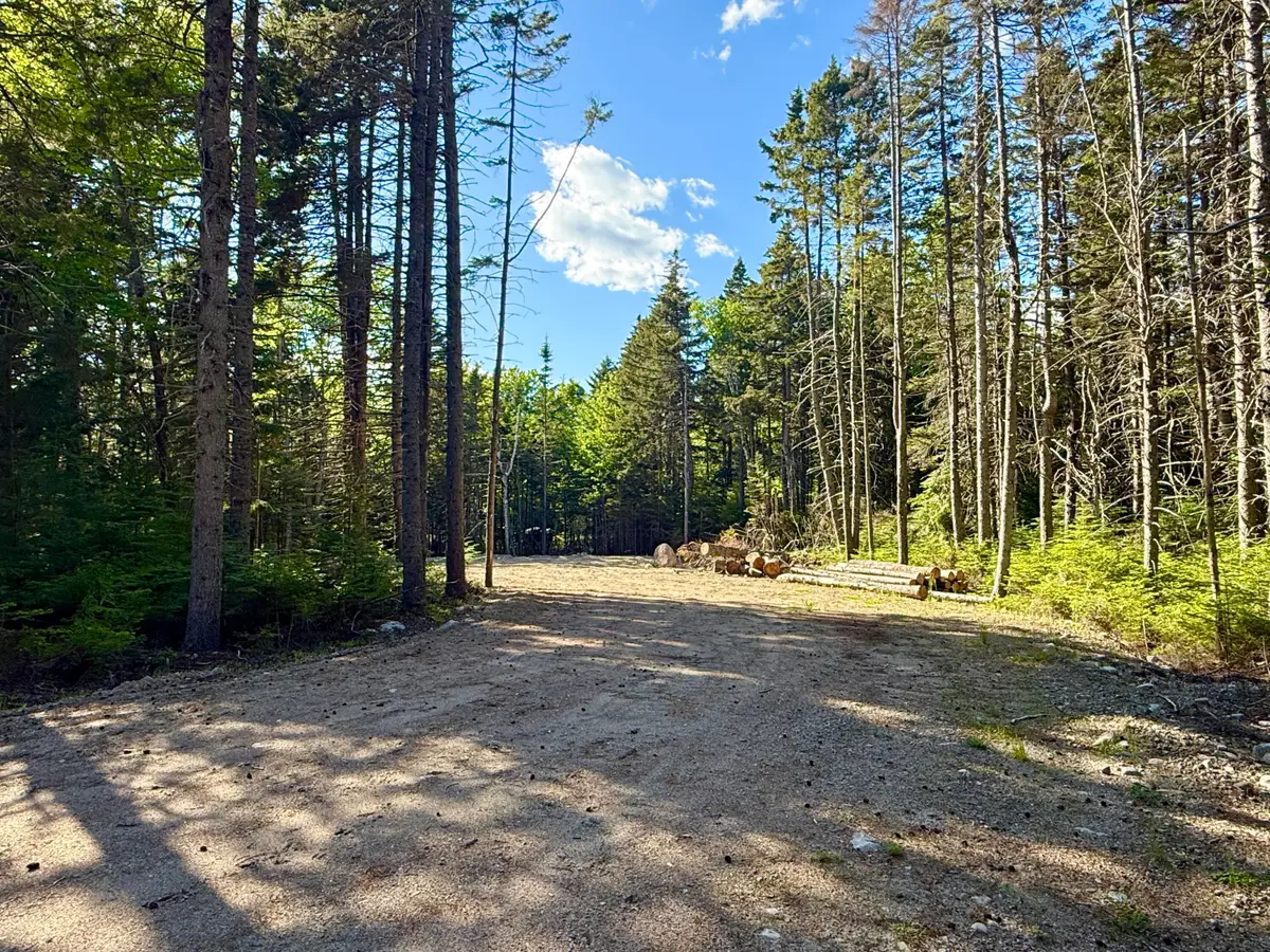 93 Goods Point Road #Lot 2, Steuben, ME 04680 - #1