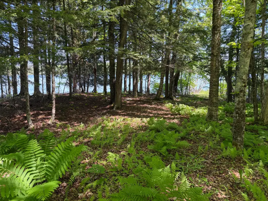Map 21 Lot 11 Bear Lane, Dexter, ME 04930 - #2