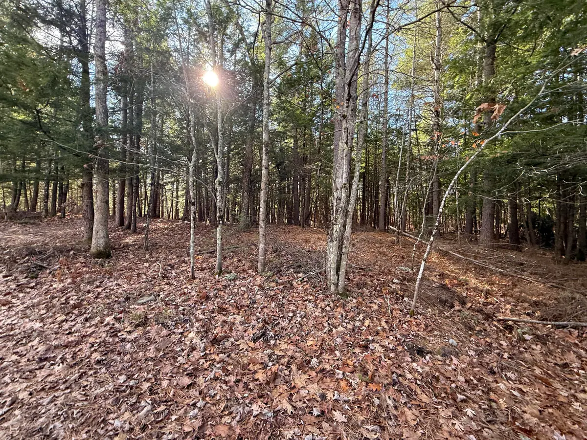 25-2 Mowry Lane, Newfield, ME 04076 - #1