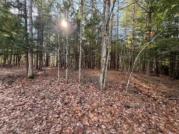 25-2 Mowry Lane, Newfield, ME 04076