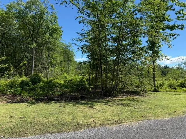 Lot 2 Youngs Way, Standish, ME 04084 - #1