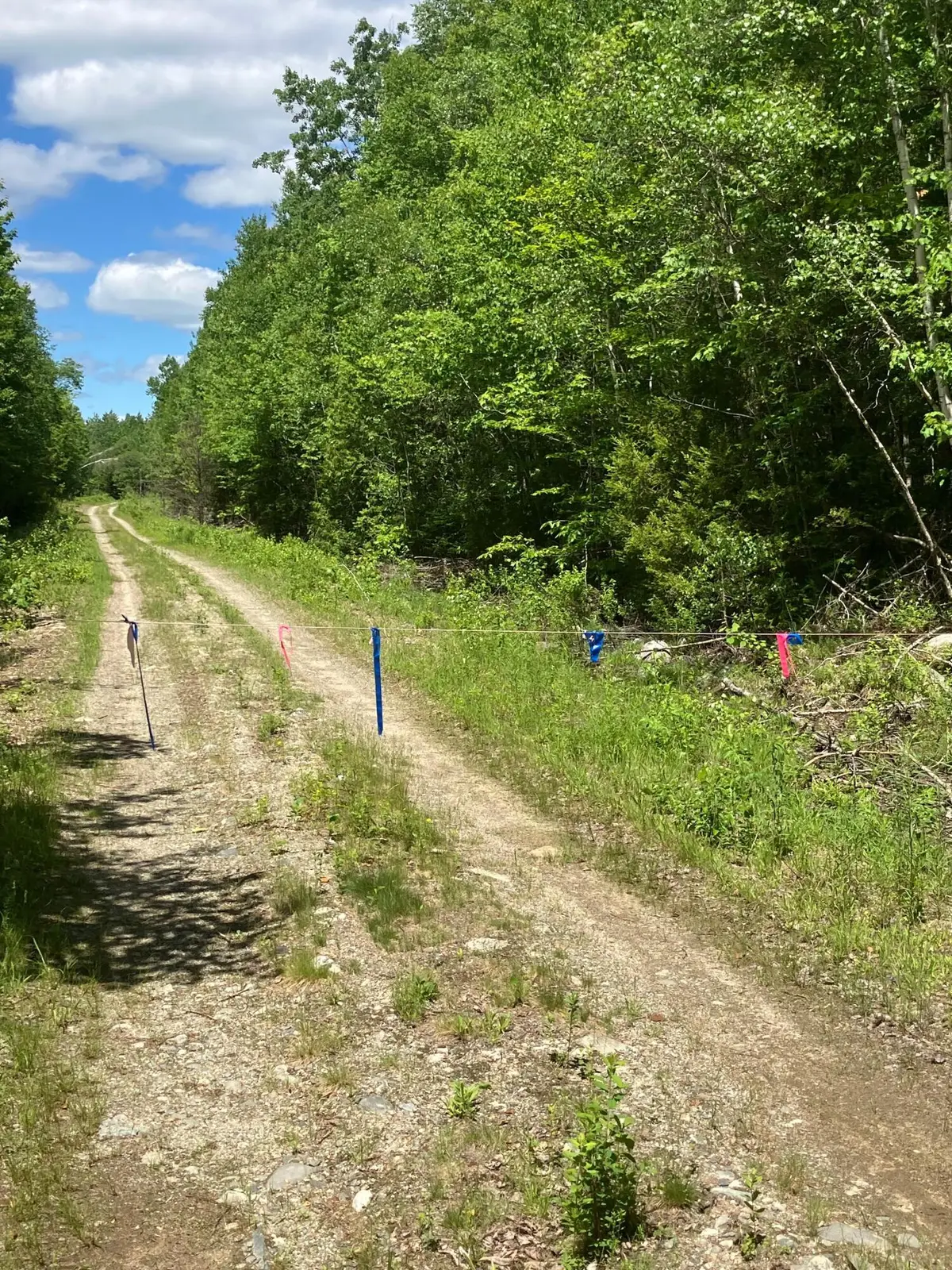 Off Route 192, Wesley, ME 04686 - #1