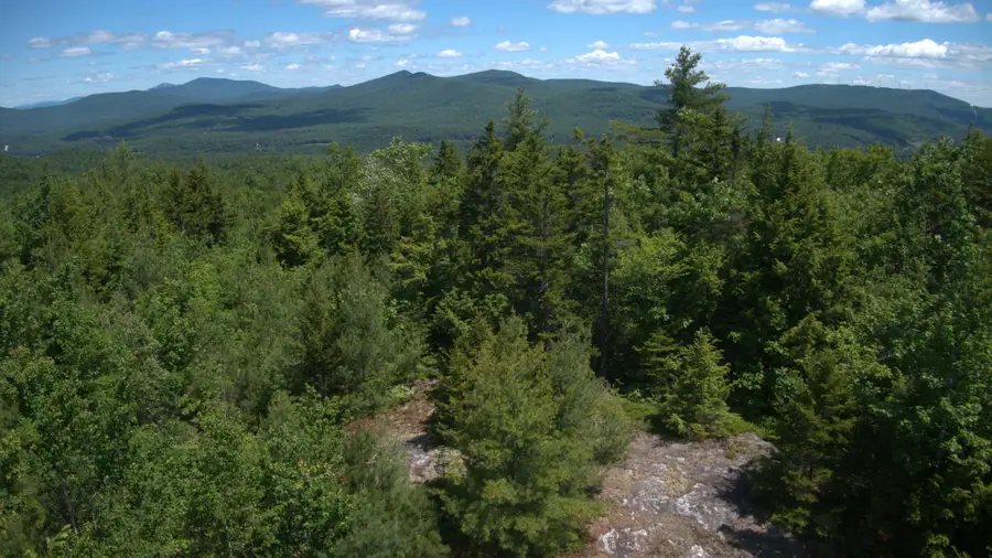 27/1B/5D Greenwoods Road, Peru, ME 04290 - #3