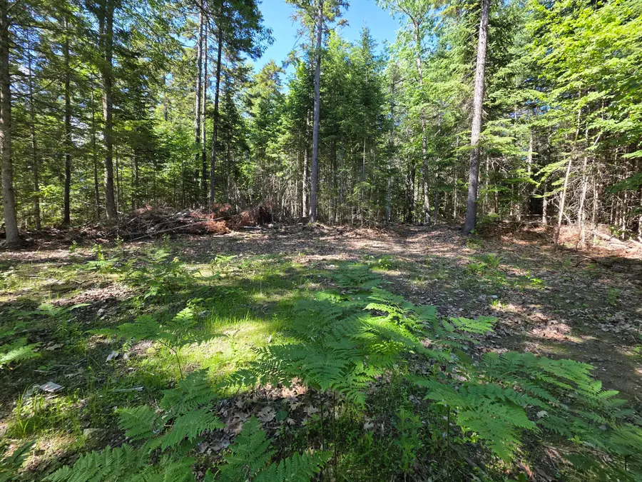 458 Point Road, Otis, ME 04605 - #3