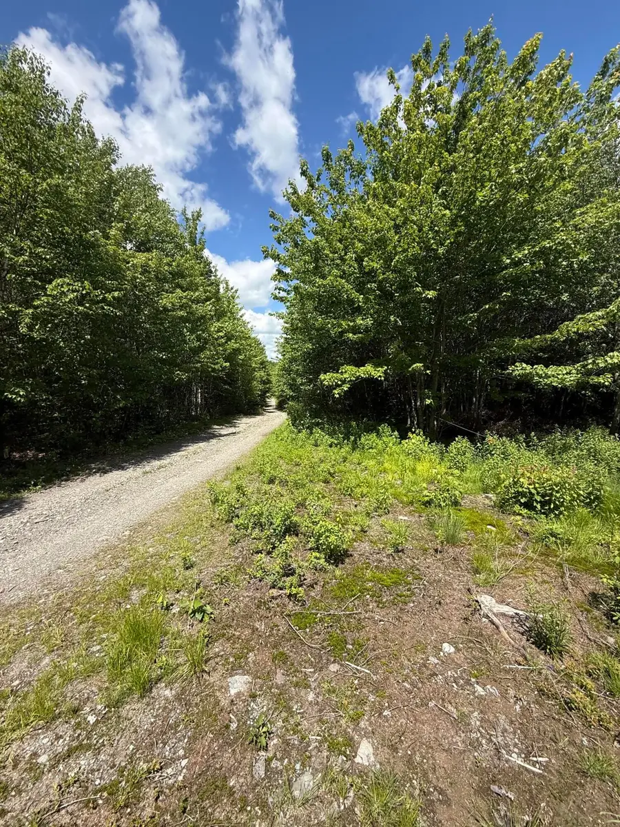Lot 27 Lively Brook Acres, Whiting, ME 04691 - #2