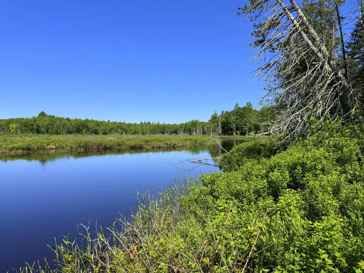 Lot 2B Kingfield Road, New Vineyard, ME 04956 - #1