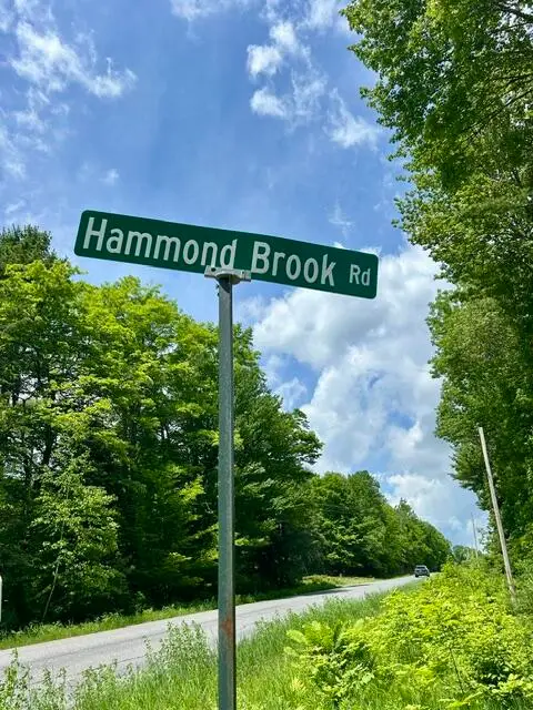 Lot 2 Hammond Brook Road, Monson, ME 04464 - #1