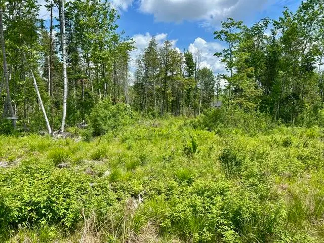 Lot 2 Hammond Brook Road, Monson, ME 04464 - #3