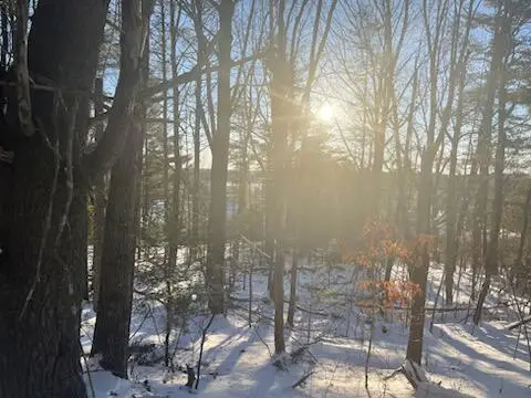 107 Stevenson Way, Bath, ME 04530 - #3