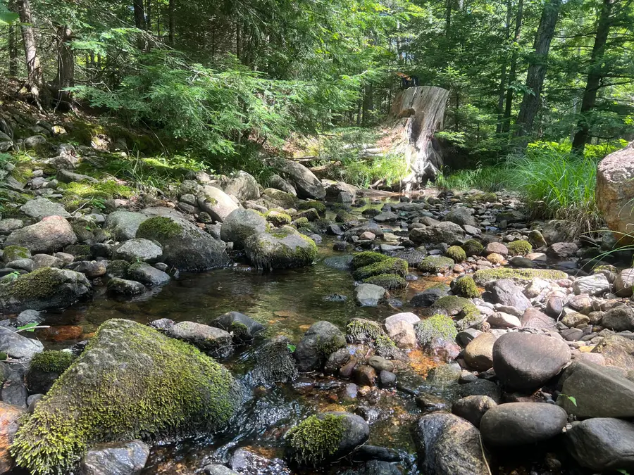 783 Paris Hill Road, Paris, ME 04281 - #3