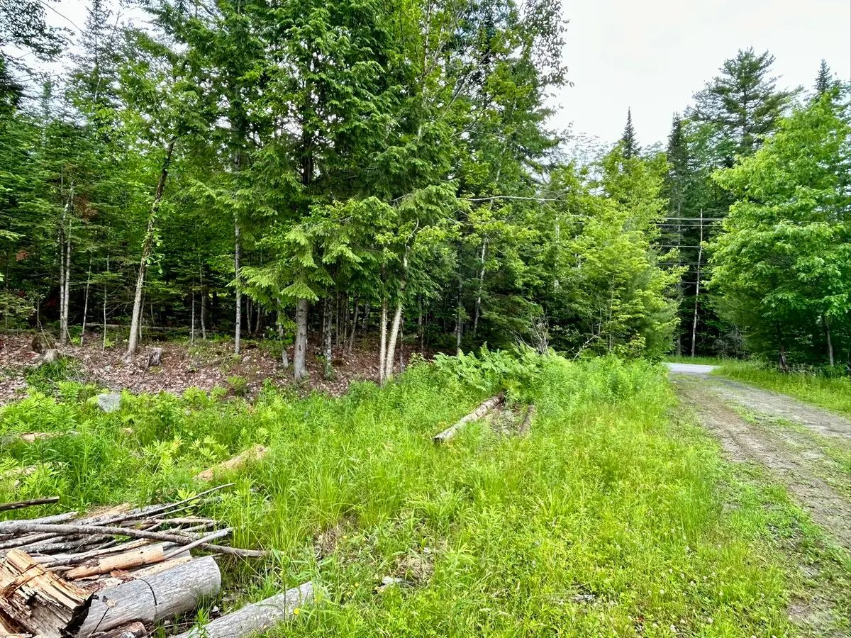 M7 L26 Canaan Road, Hartland, ME 04943 - #1