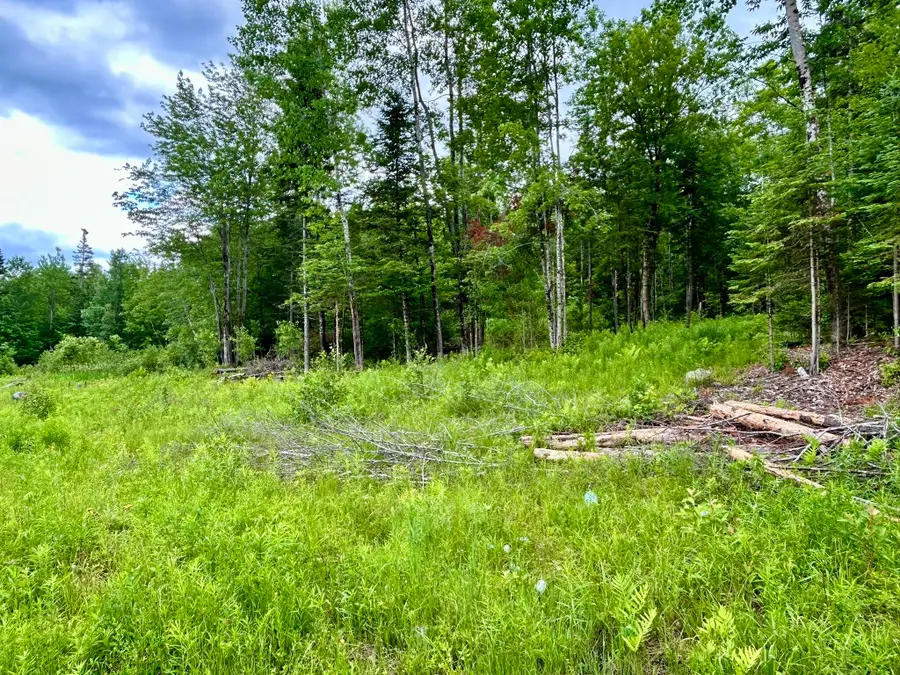 M7 L26 Canaan Road, Hartland, ME 04943 - #3