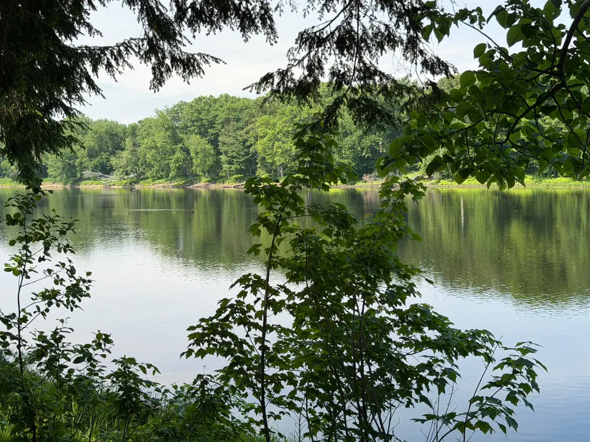 M4/Lot 2A Main Road, Greenbush, ME 04418 - #1