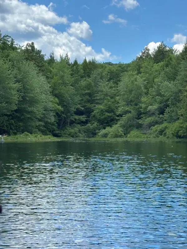 00 Brown Road, Liberty, ME 04949