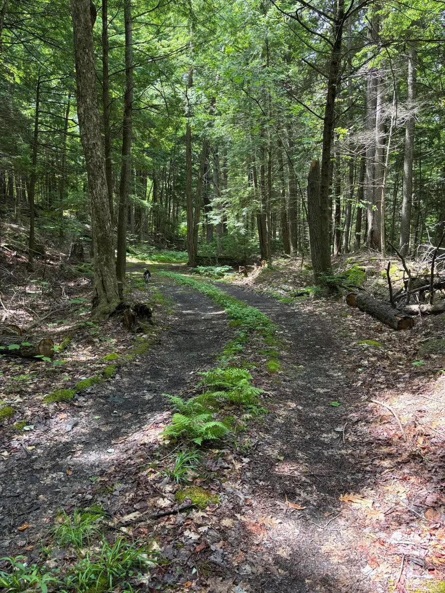 00 Brown Road, Liberty, ME 04949 - #3