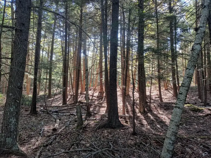 000 Ridge School Road, Liberty, ME 04949 - #3