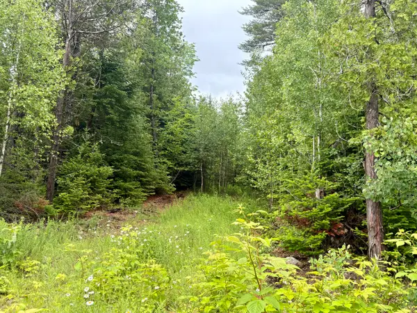Lot 3 Mt. Jefferson Heights, Lee, ME 04455