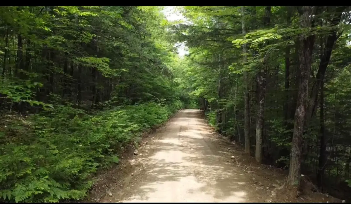 Lot 14 Hanslip Road, Wilton, ME 04294 - #1