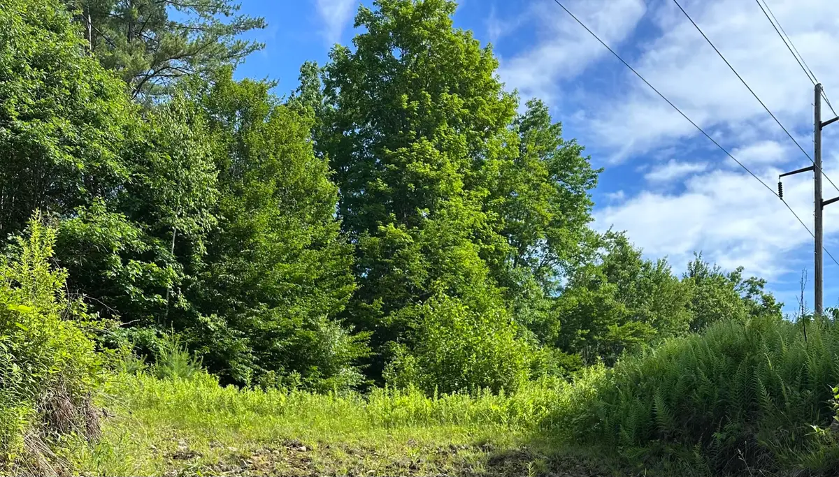Lot 020 Canton Mountain Road, Jay, ME 04239 - #1