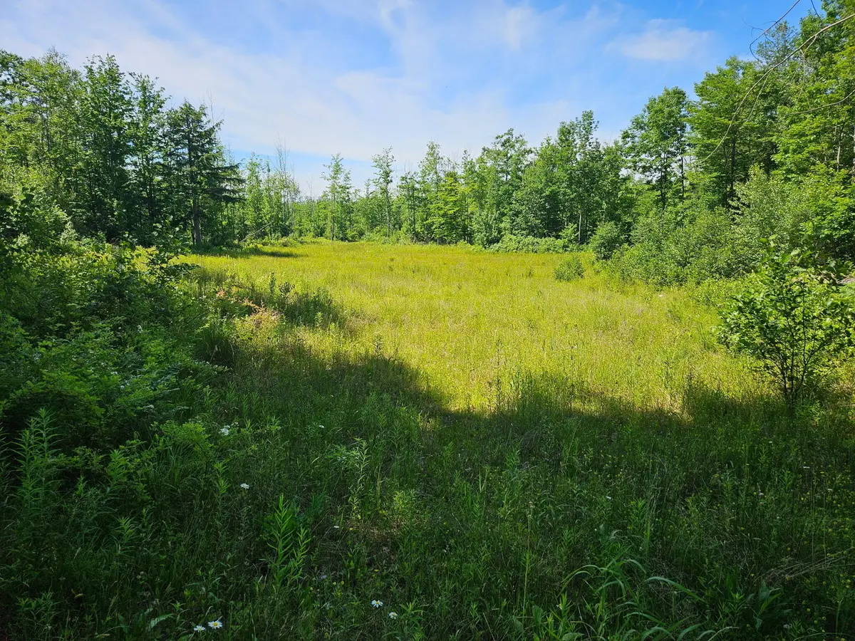 579 Maple Ridge Road, Harrison, ME 04040 - #1