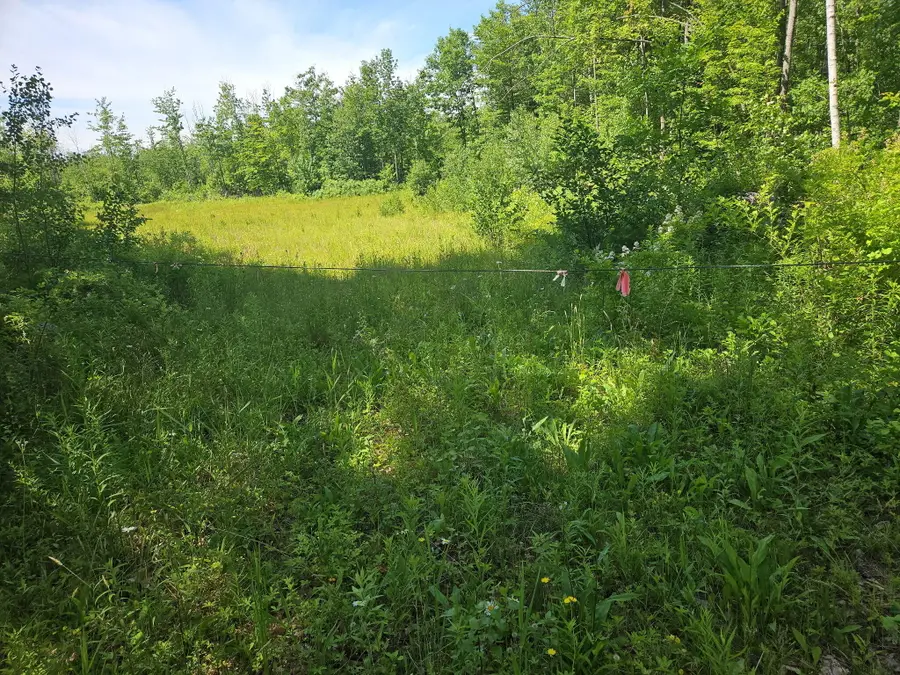 579 Maple Ridge Road, Harrison, ME 04040 - #2