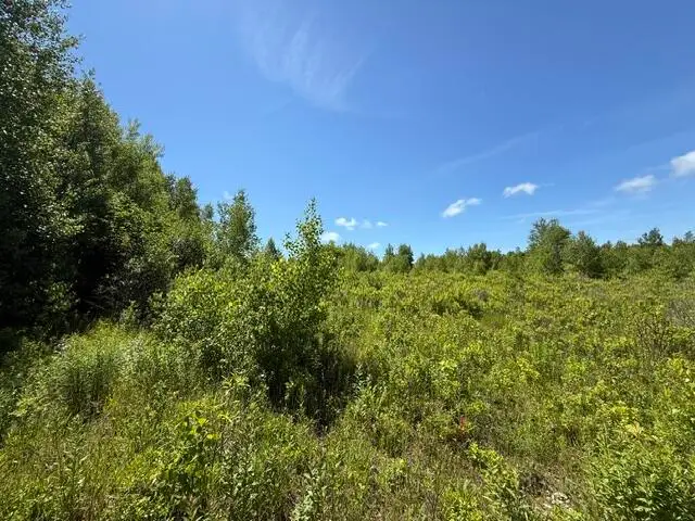 Map10LotP 214, Meddybemps, ME 04657 - #3