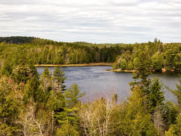 Map 12 Lot #7-a, Whiting, ME 04691