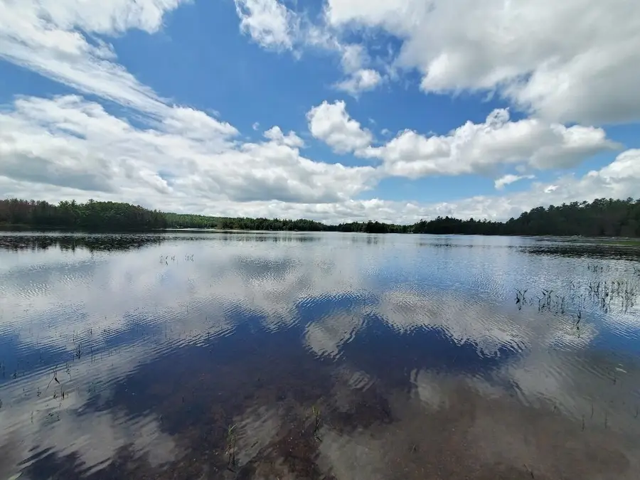 115 Shorey Brook Lane, Beddington, ME 04622 - #2