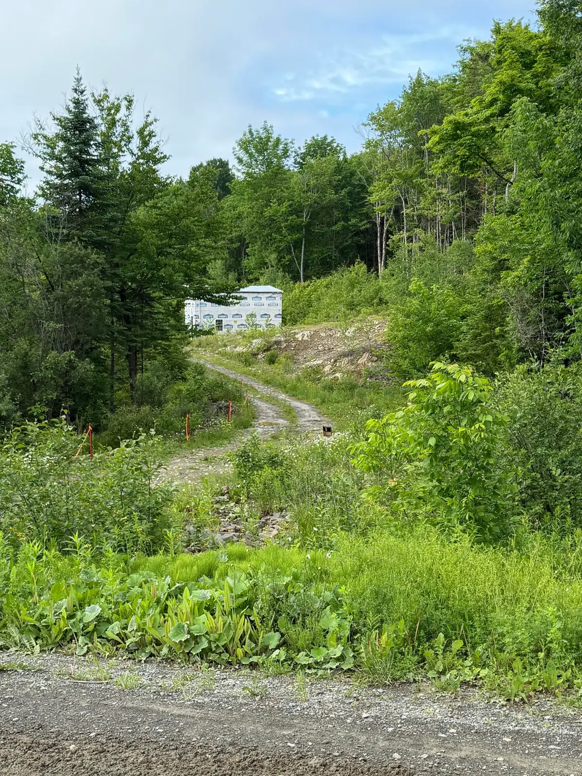 135 Hemore Road, Ludlow, ME 04730 - #1
