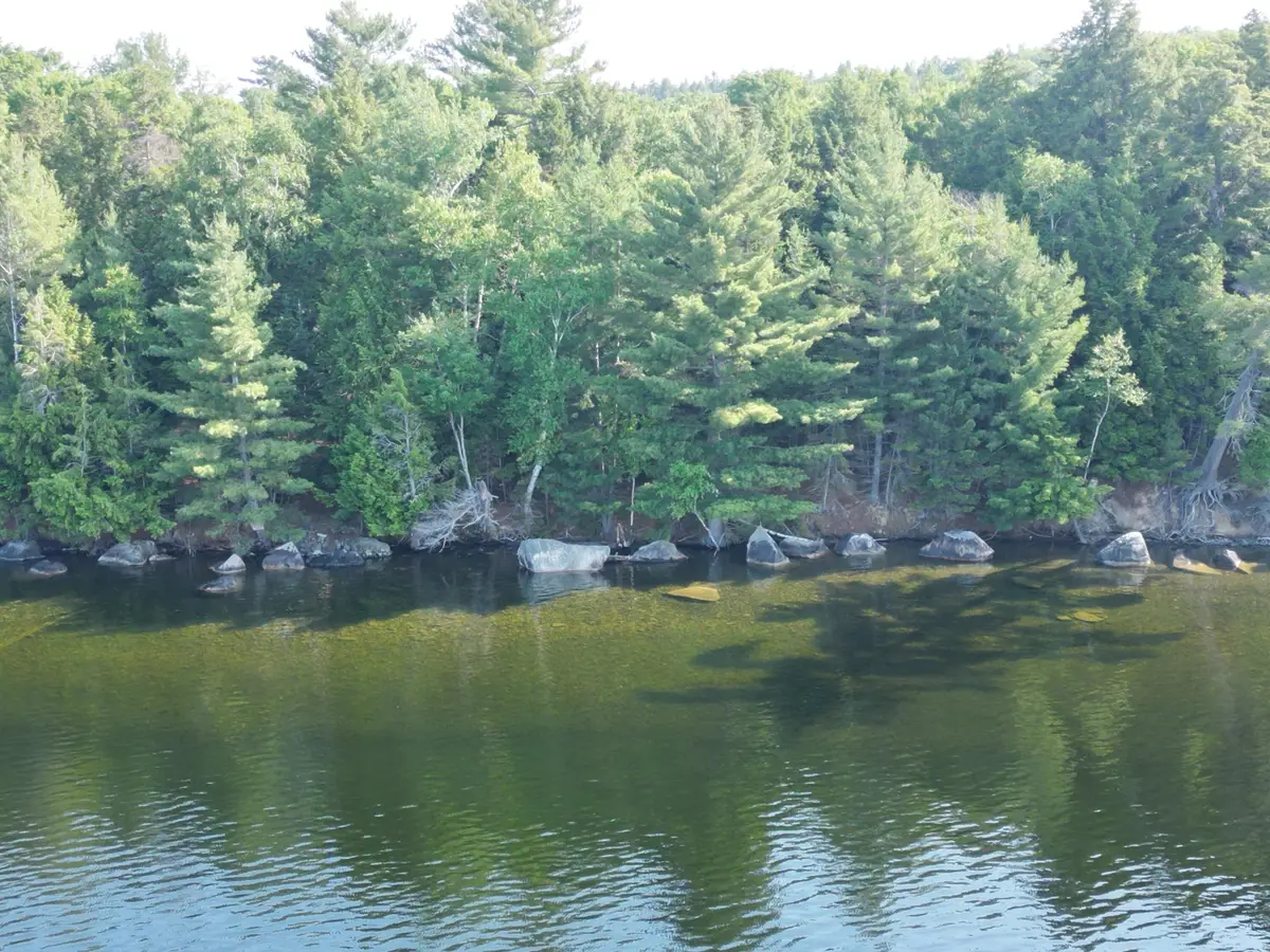 M5 L9&10 Black Point Road, Beaver Cove, ME 04441 - #1