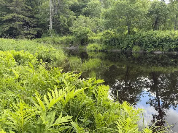 Lot 16-6 Norridgewock Road, Fairfield, ME 04937