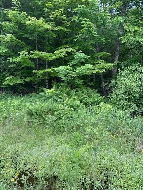 3-3-A Avenue Road, Corinth, ME 04427 - #1