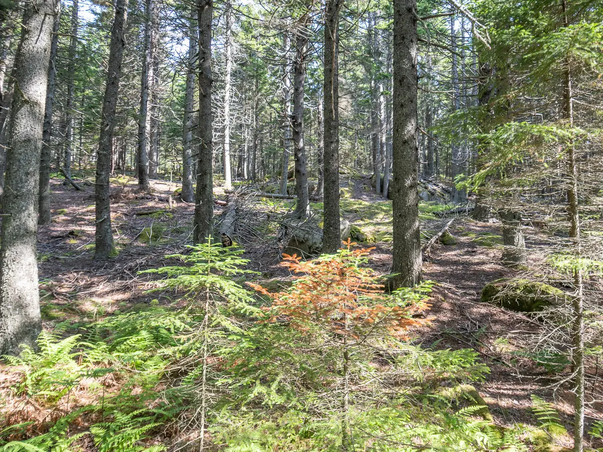 10 Island Retreat Road, Swans Island, ME 04685 - #1