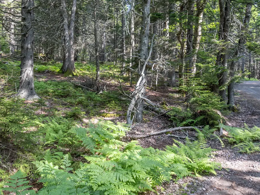 10 Island Retreat Road, Swans Island, ME 04685 - #2