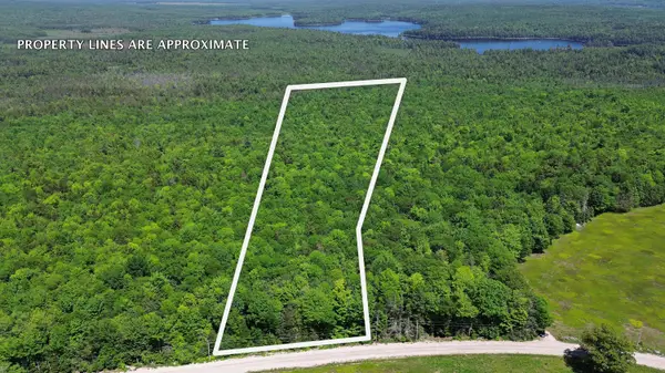 Lot 2 Martins Ridge Road, Franklin, ME 04634