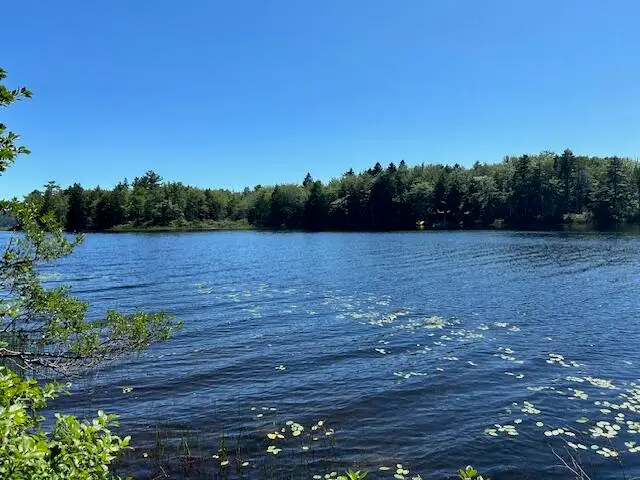 Lot 3 Lois Lane, Gouldsboro, ME 04607 - #3