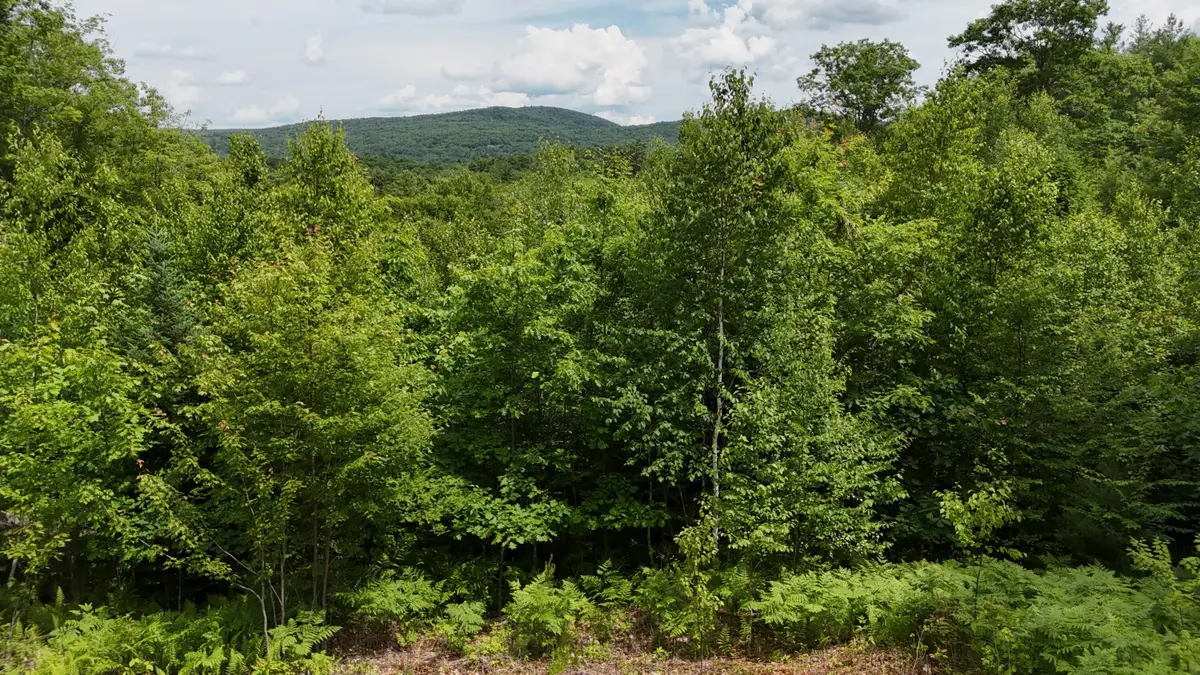 4 Youngs Road, Canton, ME 04221 - #1