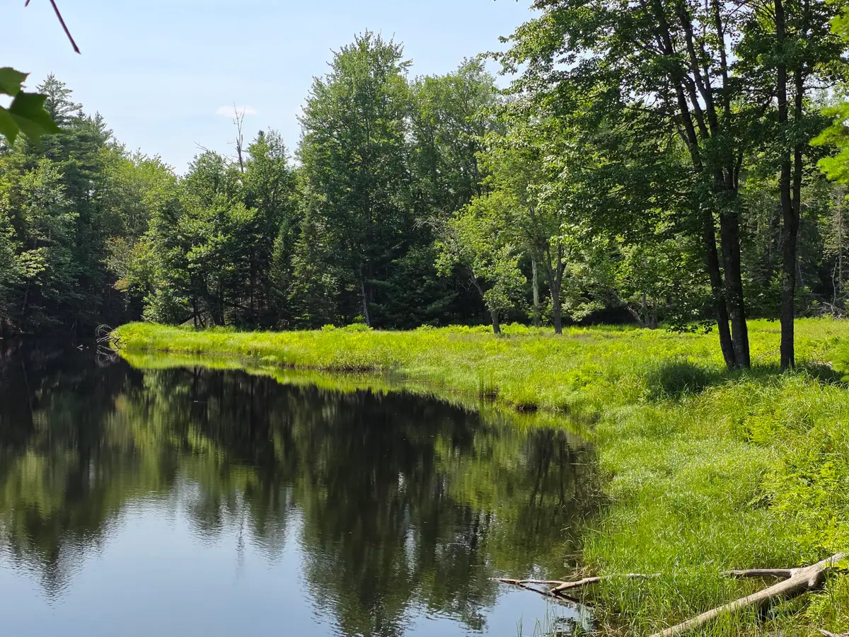 00 Brown Road, Searsmont, ME 04973 - #1