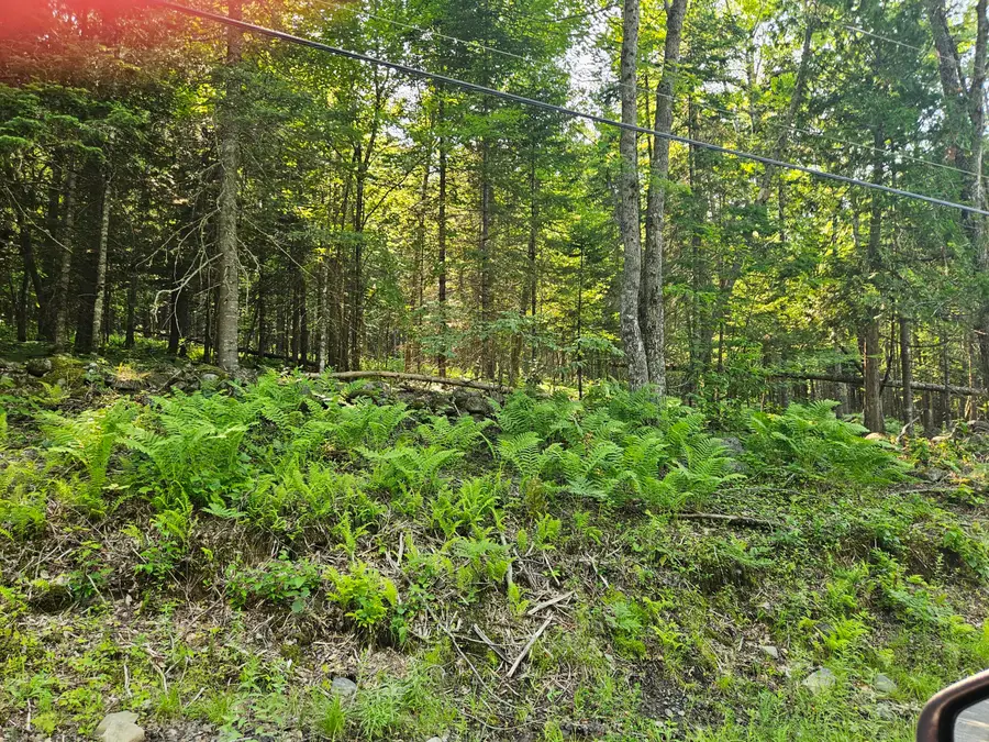 Lot 2-A Rips Road, Brownville, ME 04414 - #3