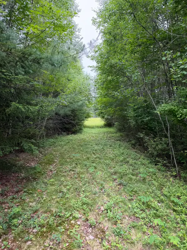0 Ellsworth Road, Blue Hill, ME 04614
